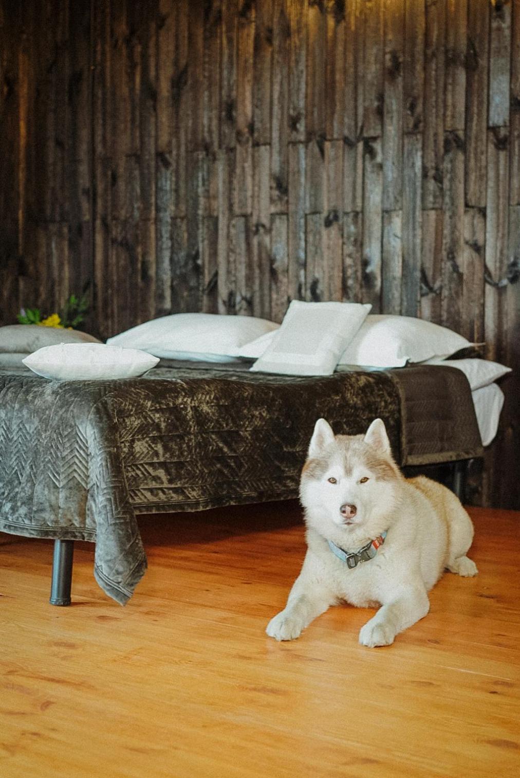 Долина Хюгге Hotel Chornomors'ke  Exterior photo